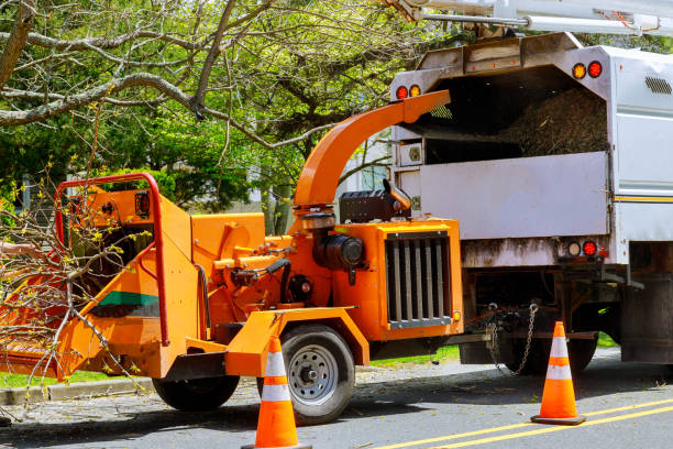 Lawn Drainage Solutions in Pajaro, CA